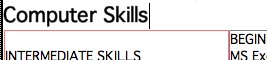 Computer Skills Formatted